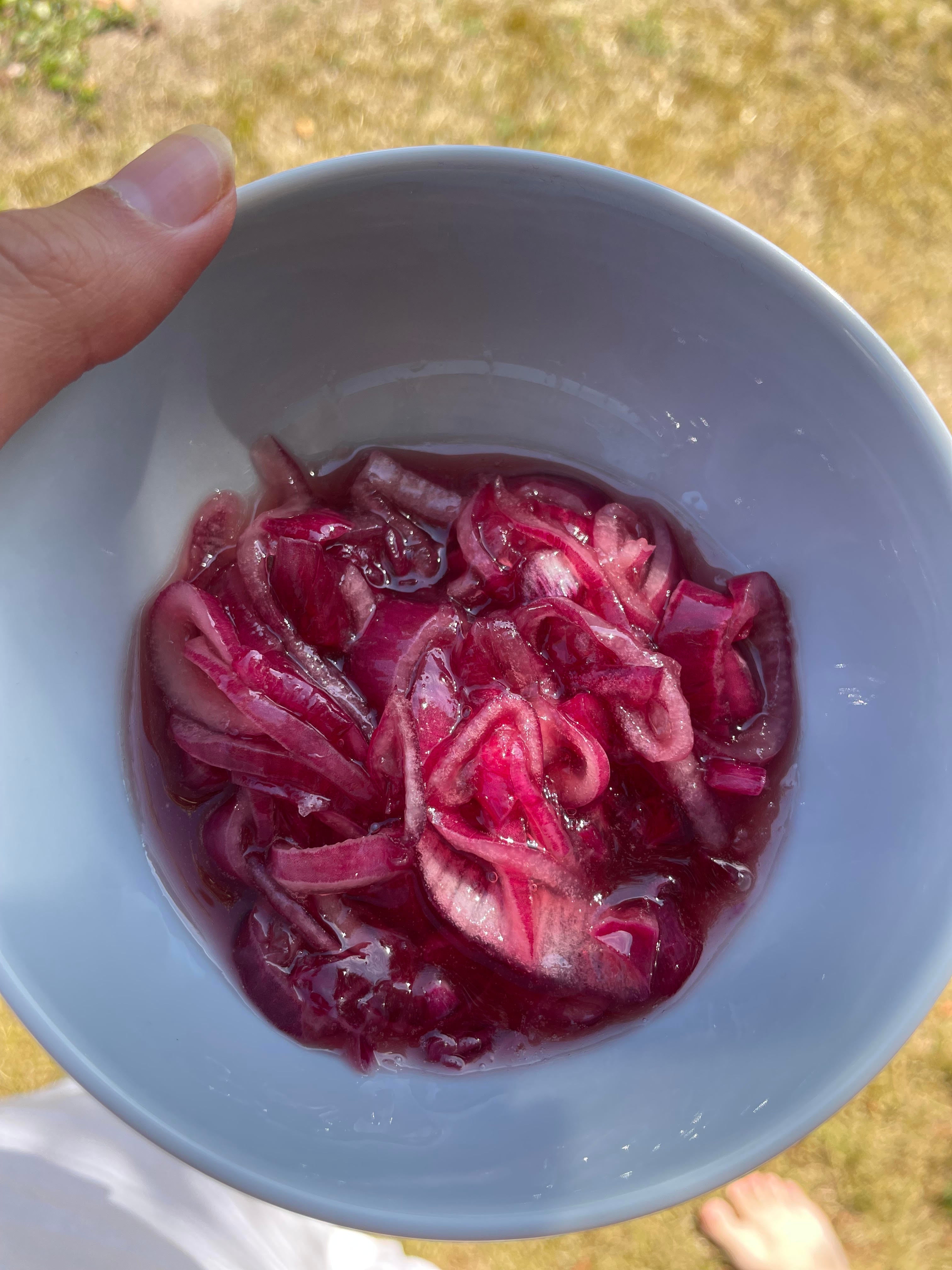 Pickla rödlök med Bloom!